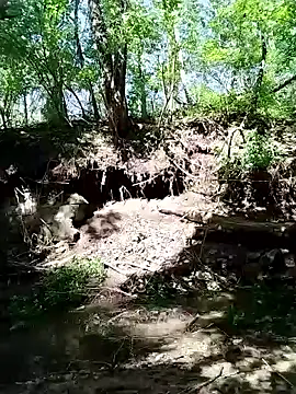 her4life online show from April 21, 2026, 8:01 pm