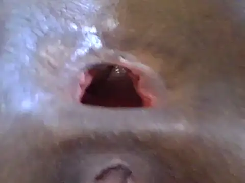 petitev online show from December 17, 2024, 12:33 pm