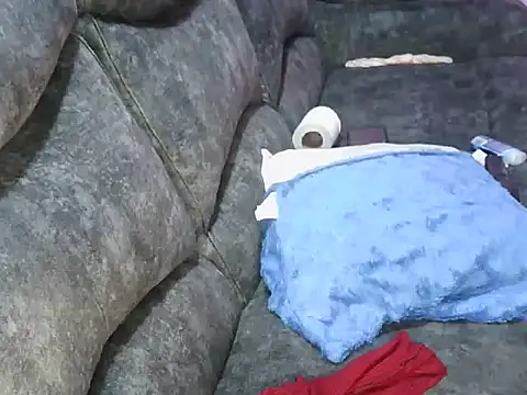 petitev online show from March 2, 2026, 5:08 am