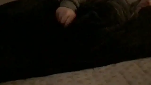 Rock Pierce online show from February 28, 2026, 1:23 pm