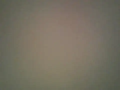 Lovensetest online show from October 29, 2025, 5:53 am