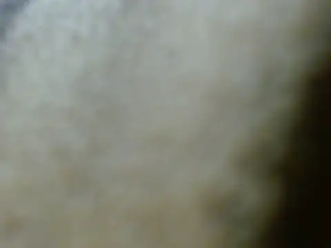 silky milky online show from October 27, 2025, 7:29 pm