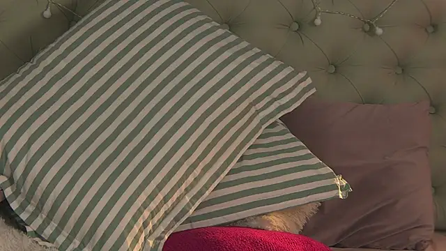 AlicePirs online show from February 6, 2025, 11:32 am