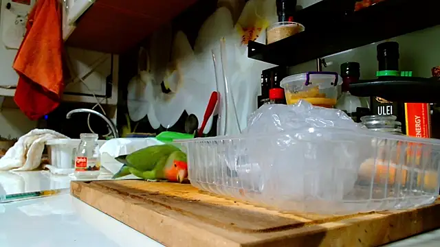 Sophie Bell online show from January 16, 2025, 12:12 am