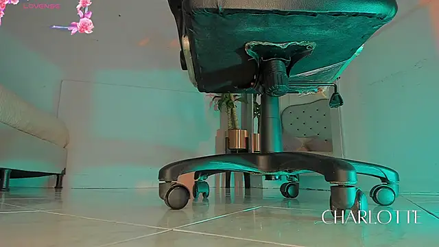 charlotte  grey online show from November 28, 2025, 8:22 pm