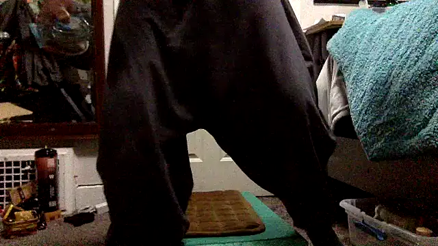 Snapshot of Robriguezxxx chatting on December 26, 2024, 7:56 am Robriguezxxx online show from December 26, 2024, 7:56 am