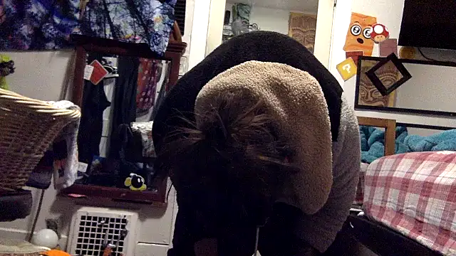 Snapshot of Robriguezxxx chatting on March 22, 2025, 5:39 am Robriguezxxx online show from March 22, 2025, 5:39 am