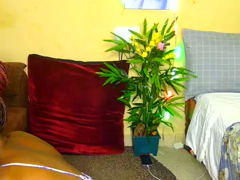 Naughtygal98 online show from July 7, 2026, 6:27 am