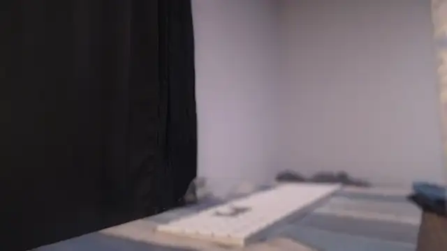 flexingplexico online show from December 2, 2024, 9:13 am