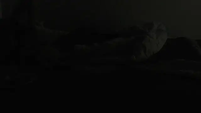 flexingplexico online show from January 6, 2025, 7:13 pm