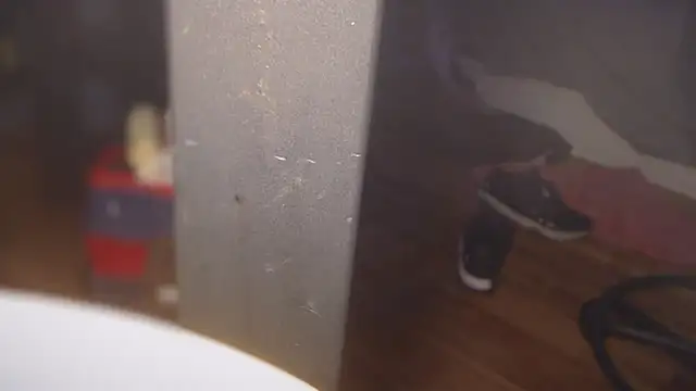 flexingplexico online show from March 1, 2025, 5:27 pm