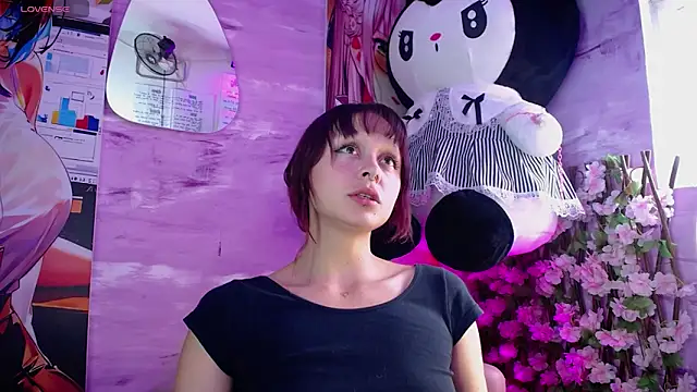 bombom 6 online show from December 3, 2025, 5:00 pm