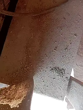 Kurtsikicixh online show from October 22, 2025, 9:31 am