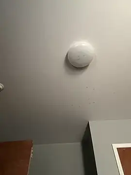 LunaWolfie143 online show from December 22, 2025, 3:53 pm