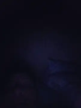 victorioandres online show from May 13, 2026, 7:11 pm