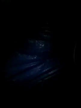 Snapshot of Ritababhi chatting on March 2, 2025, 6:51 pm Ritababhi online show from March 2, 2025, 6:51 pm