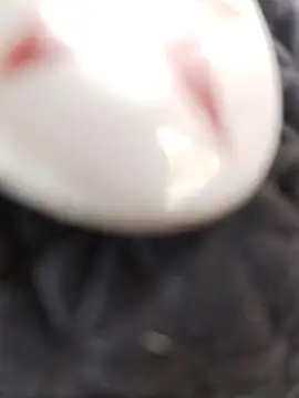 taaylor33 online show from February 27, 2026, 8:20 pm