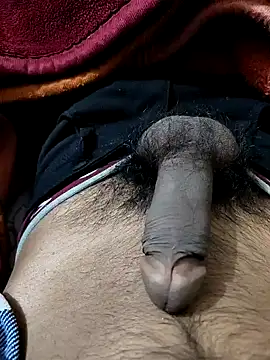 PAWARXX 0 online show from January 9, 2025, 5:22 pm