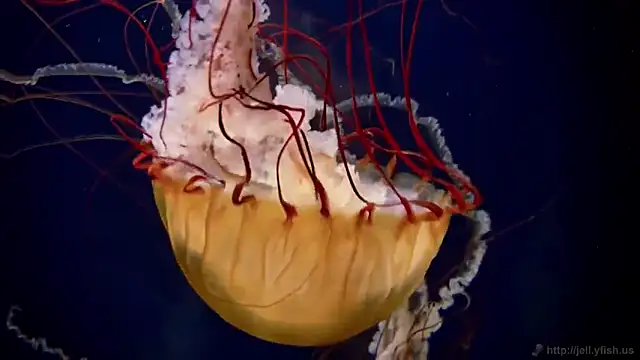 Snapshot of streamy_test12 chatting on October 27, 2025, 11:58 am streamy test12 online show from October 27, 2025, 11:58 am