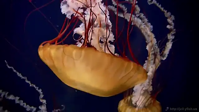 Snapshot of streamy_test12 chatting on November 7, 2025, 12:27 pm streamy test12 online show from November 7, 2025, 12:27 pm