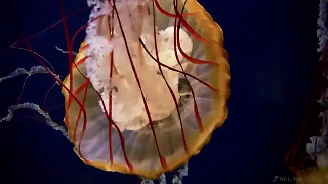 Snapshot of streamy_test12 chatting on November 18, 2025, 3:27 pm streamy test12 online show from November 18, 2025, 3:27 pm