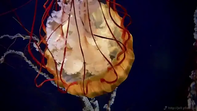 Snapshot of streamy_test12 chatting on November 24, 2025, 12:27 pm streamy test12 online show from November 24, 2025, 12:27 pm