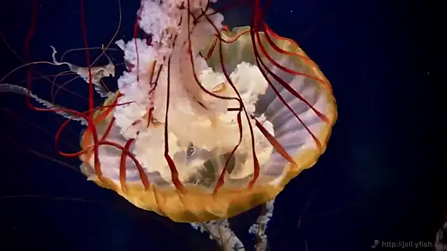 Snapshot of streamy_test12 chatting on December 4, 2025, 1:53 pm streamy test12 online show from December 4, 2025, 1:53 pm