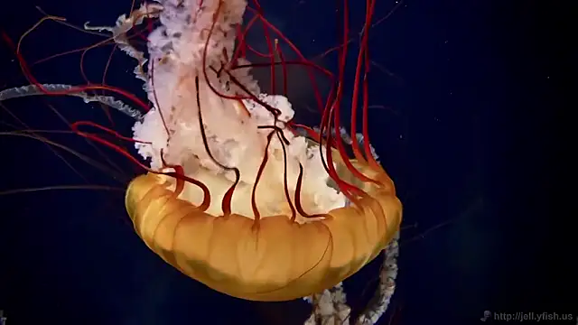 Snapshot of streamy_test12 chatting on February 16, 2026, 4:25 pm streamy test12 online show from February 16, 2026, 4:25 pm