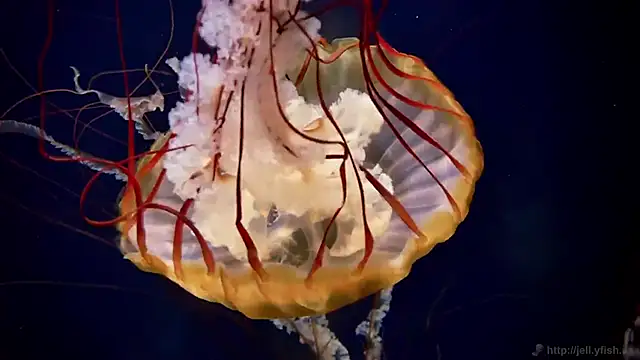 Snapshot of streamy_test12 chatting on February 24, 2026, 1:31 pm streamy test12 online show from February 24, 2026, 1:31 pm