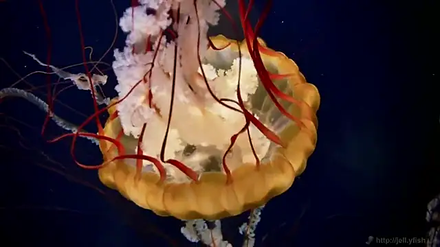 Snapshot of streamy_test12 chatting on March 5, 2026, 9:16 am streamy test12 online show from March 5, 2026, 9:16 am