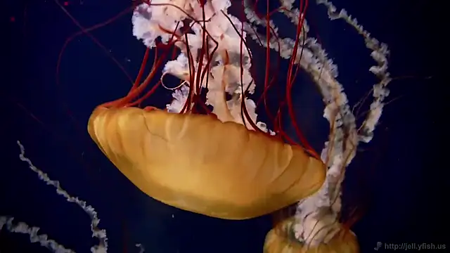 Snapshot of streamy_test12 chatting on March 12, 2026, 12:55 pm streamy test12 online show from March 12, 2026, 12:55 pm