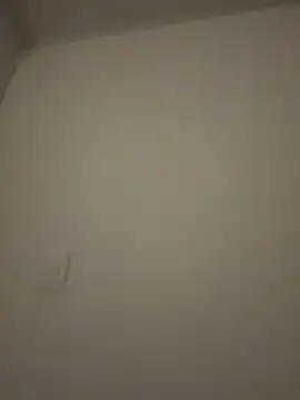 Amber Rush  online show from February 3, 2026, 3:48 am