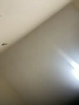 Malandralle online show from February 21, 2026, 12:11 am