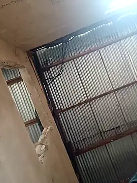 Snapshot of GHs_FINEST chatting on December 21, 2024, 11:55 am GHs FINEST online show from December 21, 2024, 11:55 am