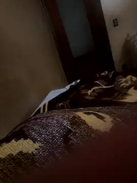 bigboy30X online show from October 21, 2025, 2:51 pm