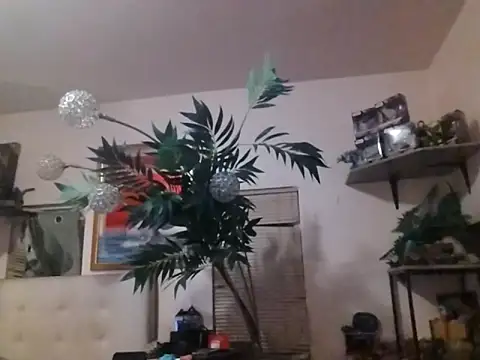 mrwinsalot88 online show from December 19, 2025, 7:26 am