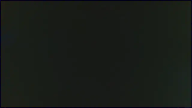 Geisha Seniers online show from February 13, 2025, 3:03 pm