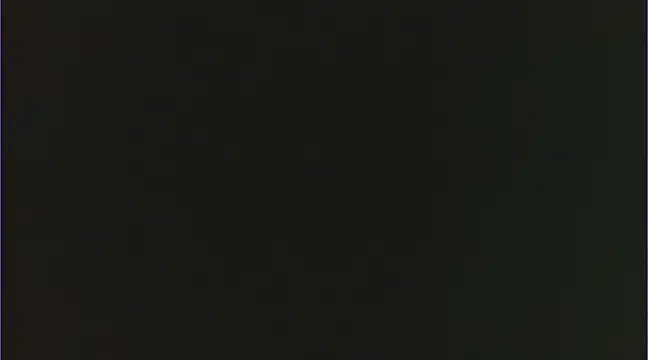 Geisha Seniers online show from February 15, 2025, 2:22 pm