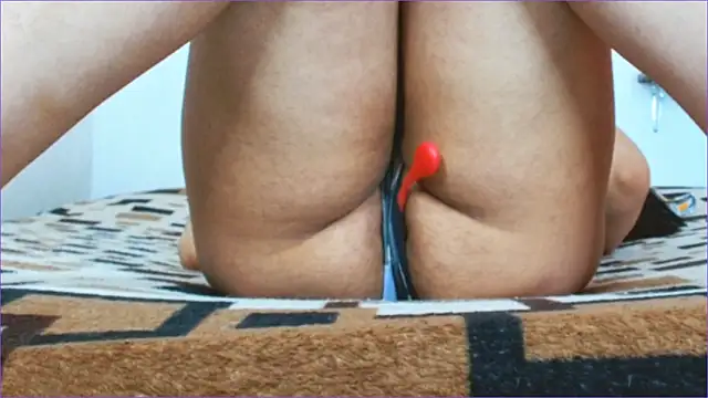 Geisha Seniers online show from March 11, 2026, 12:55 pm