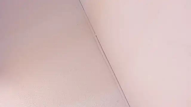 Black Rose2 online show from March 1, 2026, 11:45 am