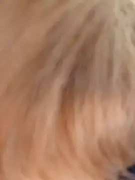 Unforgettable ket online show from January 15, 2025, 4:54 pm