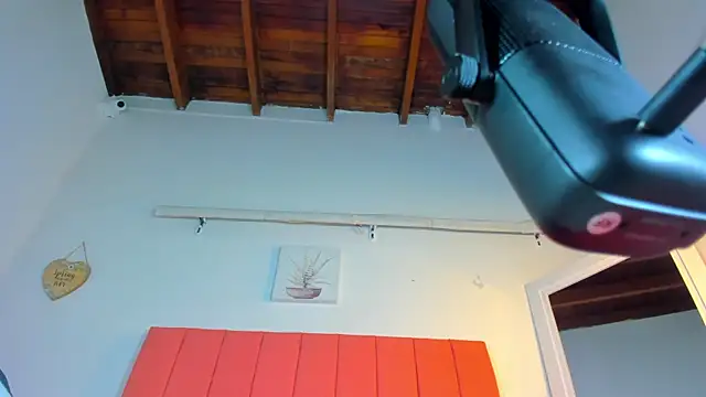 valen rose0 online show from November 2, 2025, 12:07 pm