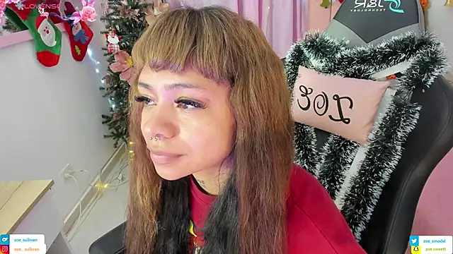 Snapshot of zoesullivan chatting on November 23, 2025, 10:04 am zoesullivan online show from November 23, 2025, 10:04 am