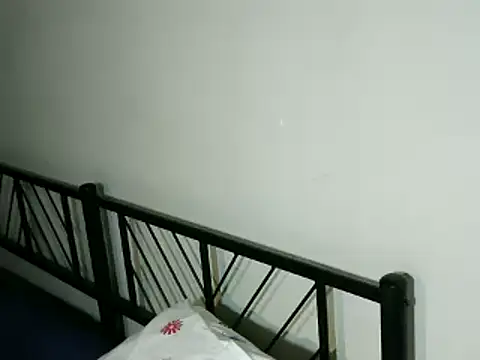 100Tauros online show from October 23, 2025, 9:19 am