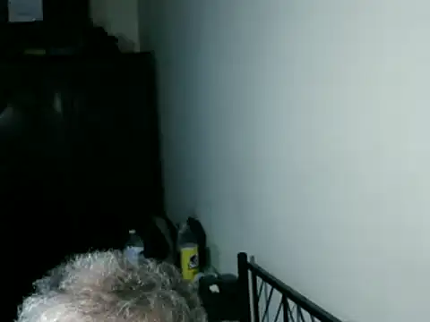 100Tauros online show from March 8, 2026, 8:51 am