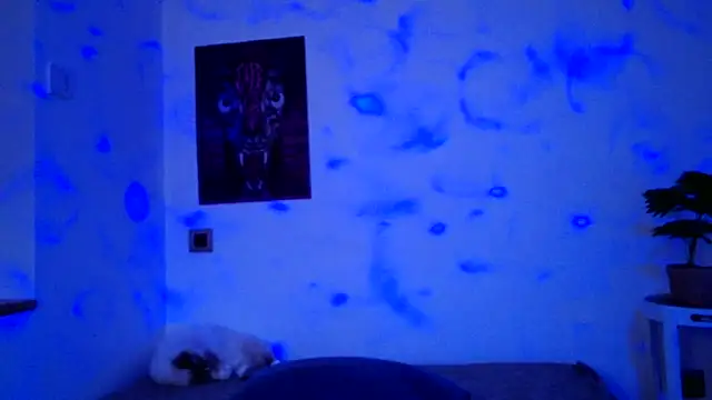 ValeryCrowley14 online show from January 15, 2026, 9:03 am