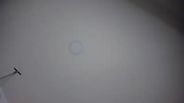 ChloeConnorr online show from December 28, 2024, 10:23 pm