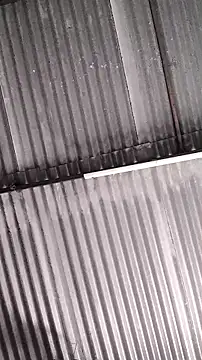 mendelicius online show from February 11, 2026, 1:27 pm