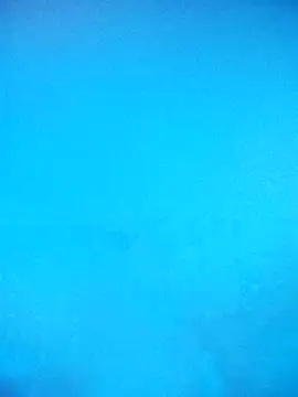 skrigul12 online show from February 14, 2026, 3:31 pm