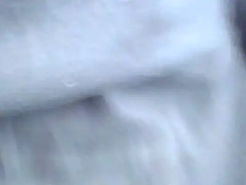 Bootiq online show from October 22, 2025, 9:53 am